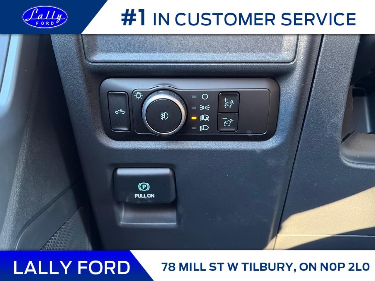 2026 Ford F-150 XLT 4WD SuperCrew 5.5' Box Photo