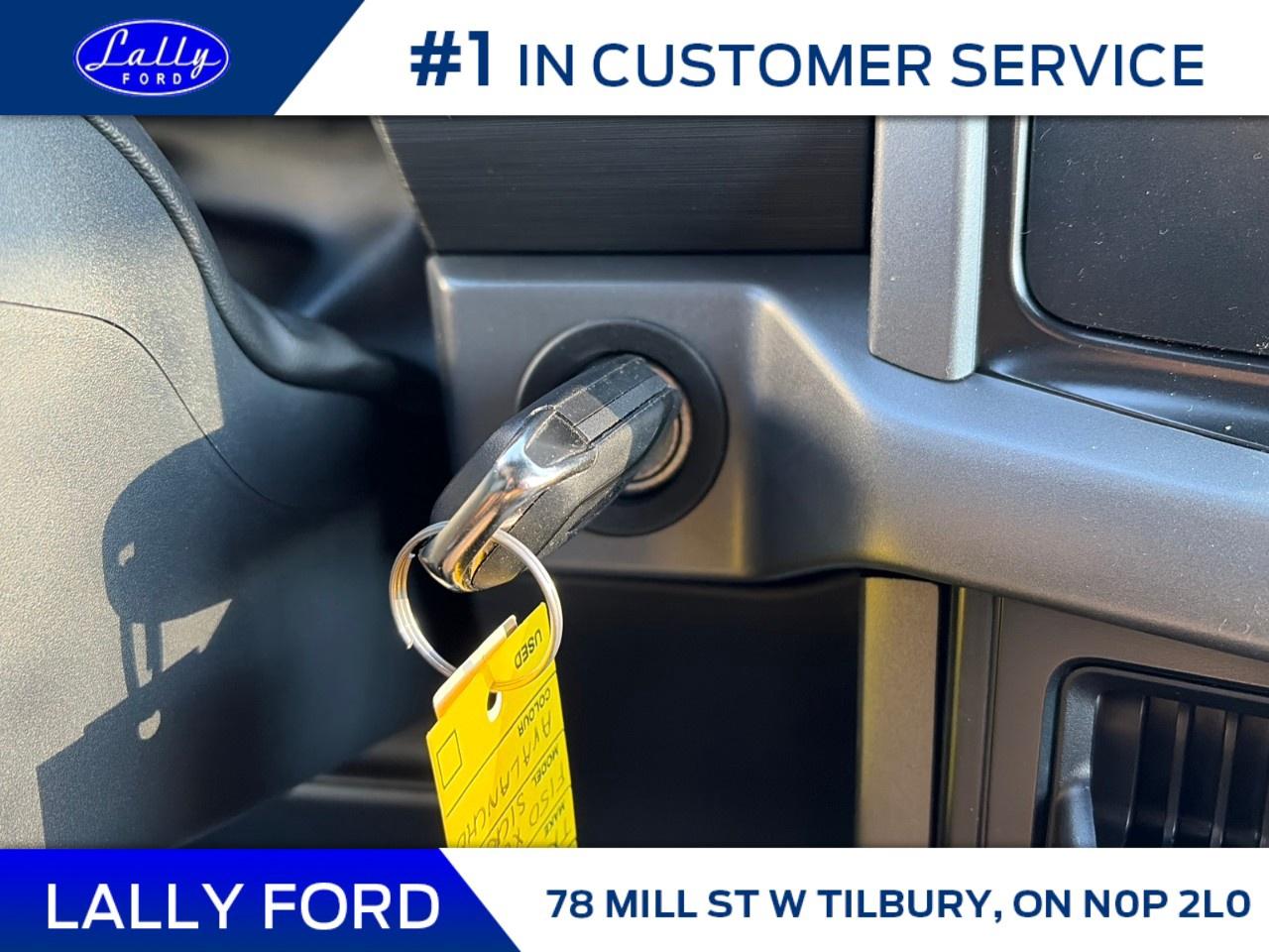 2026 Ford F-150 XLT 4WD SuperCrew 5.5' Box Photo