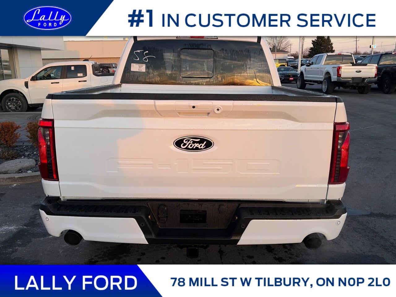 2026 Ford F-150 XLT 4WD SuperCrew 5.5' Box Photo3