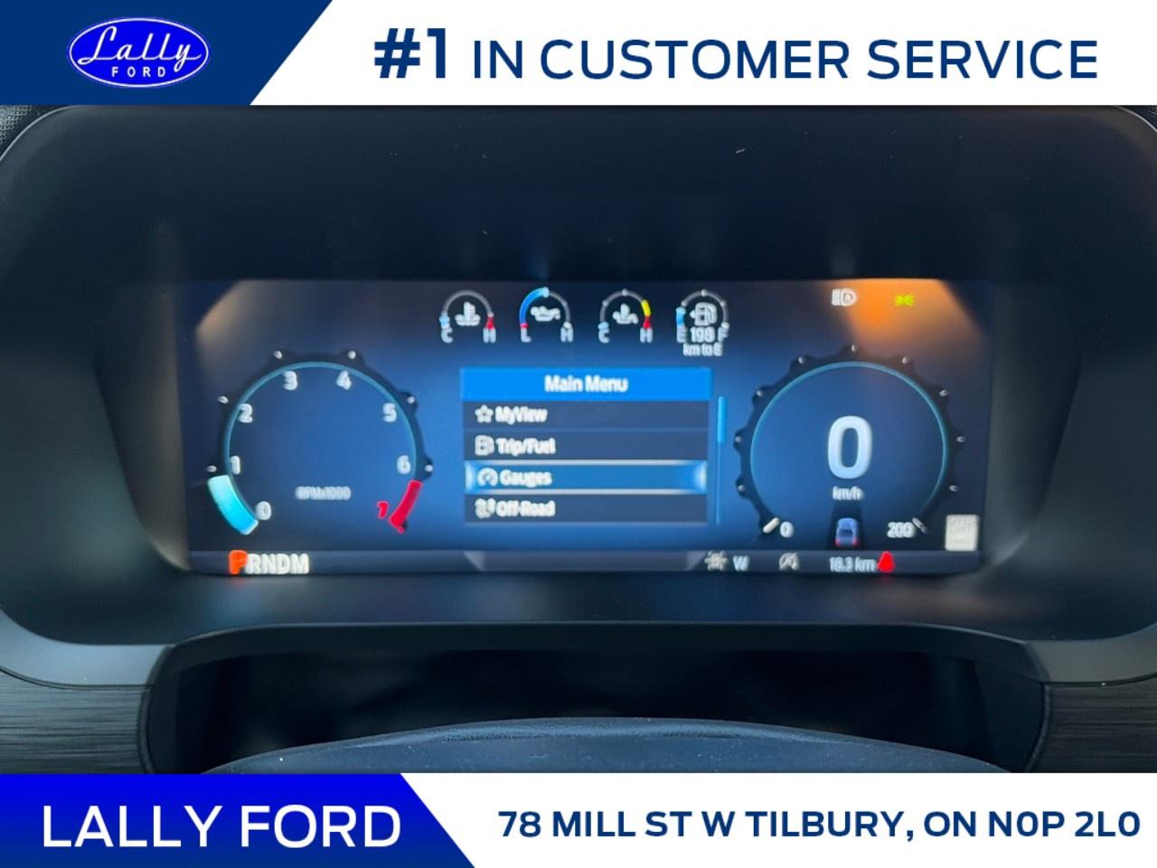 2026 Ford F-150 XLT 4WD SuperCrew 5.5' Box Photo