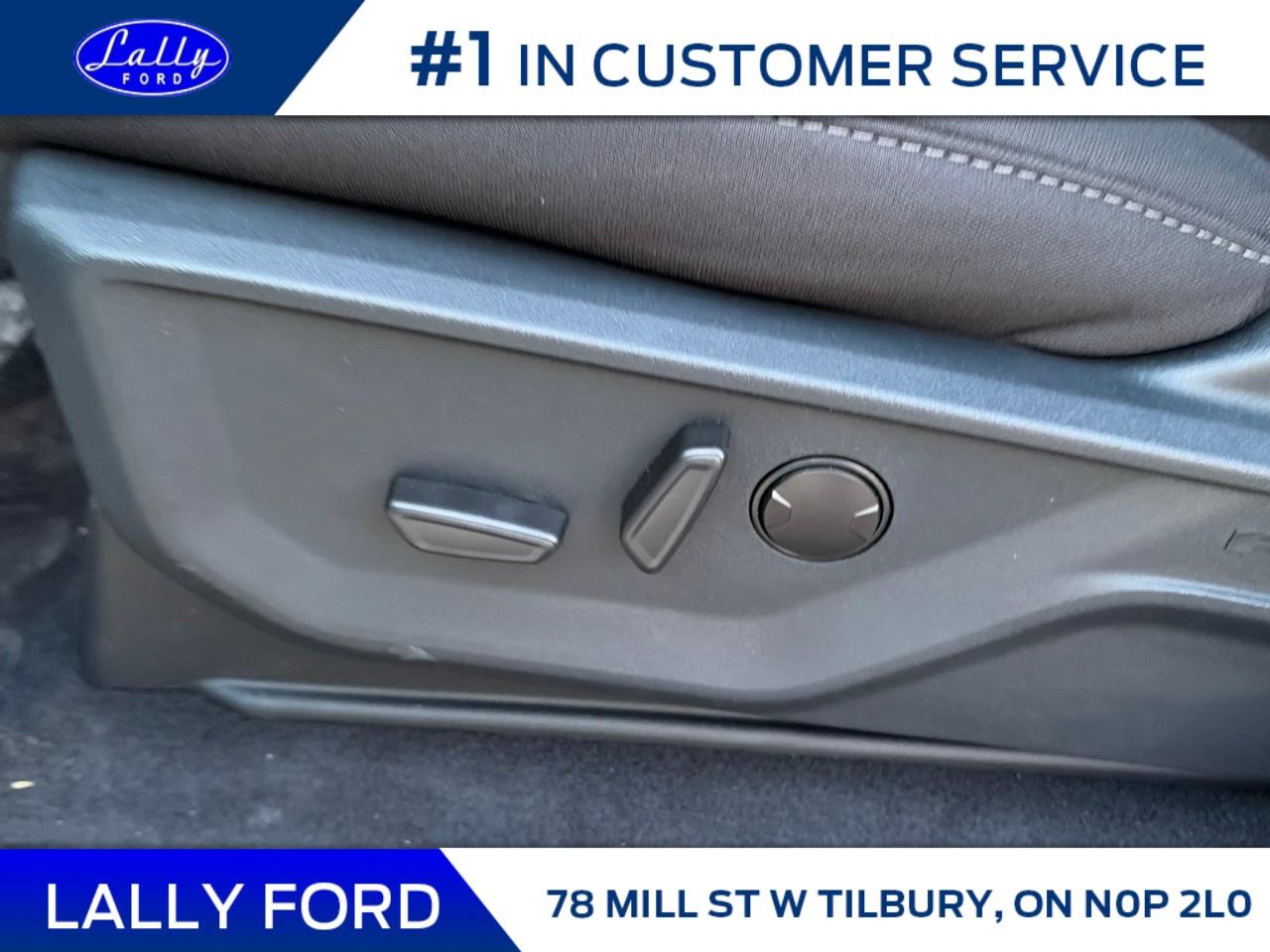 2026 Ford F-150 XLT 4WD SuperCrew 5.5' Box Photo