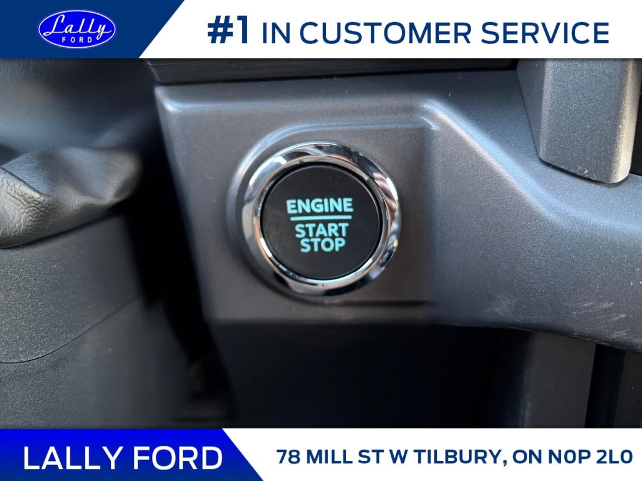 2026 Ford F-150 XLT 4WD SuperCrew 5.5' Box Photo