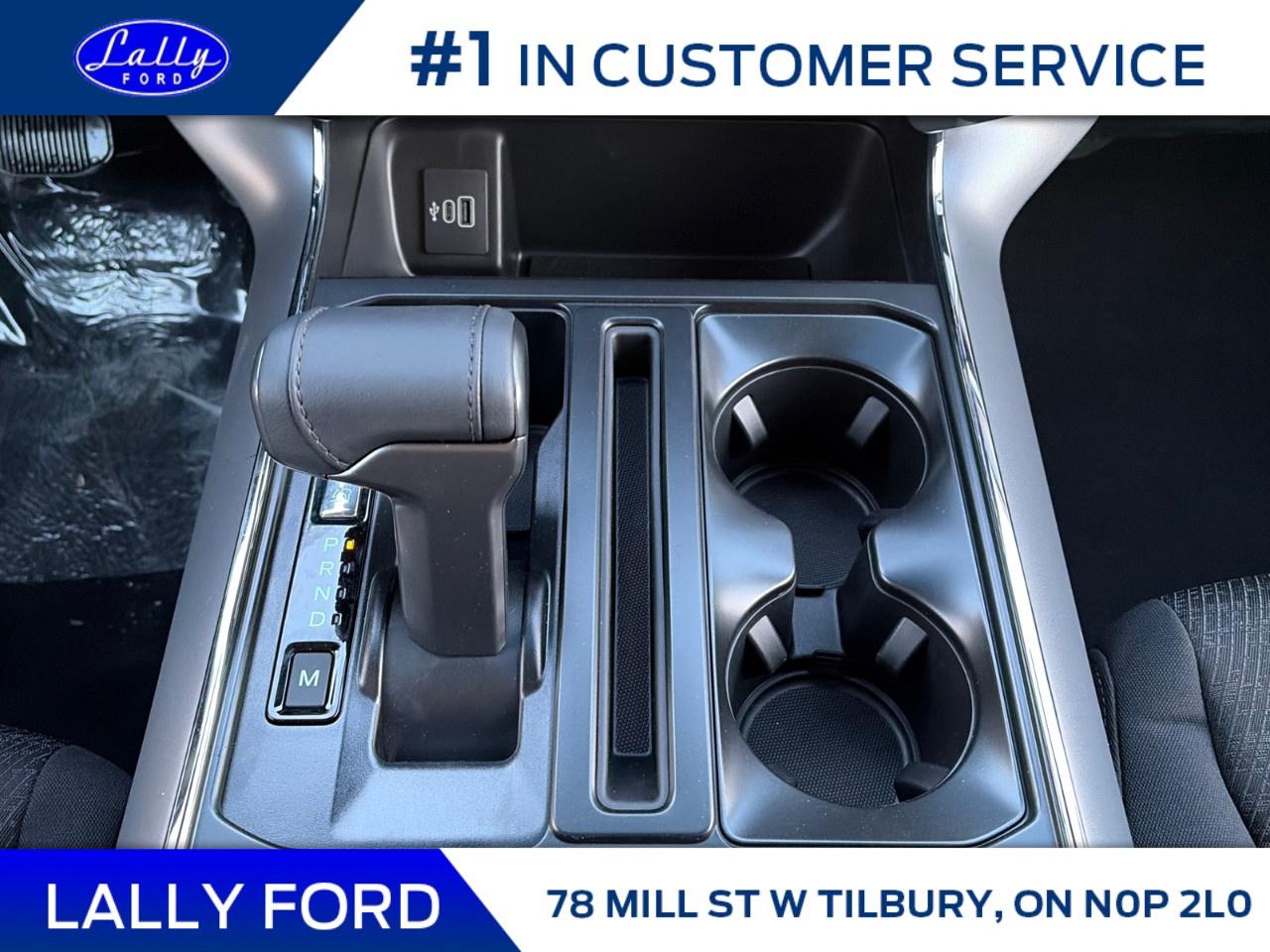 2026 Ford F-150 XLT 4WD SuperCrew 5.5' Box Photo