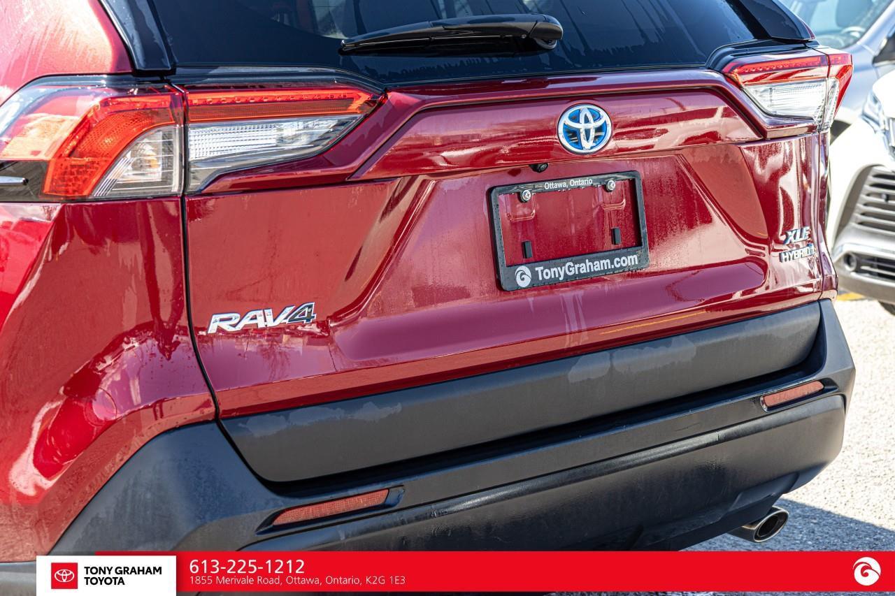 2024 Toyota RAV4 Hybrid XLE Photo