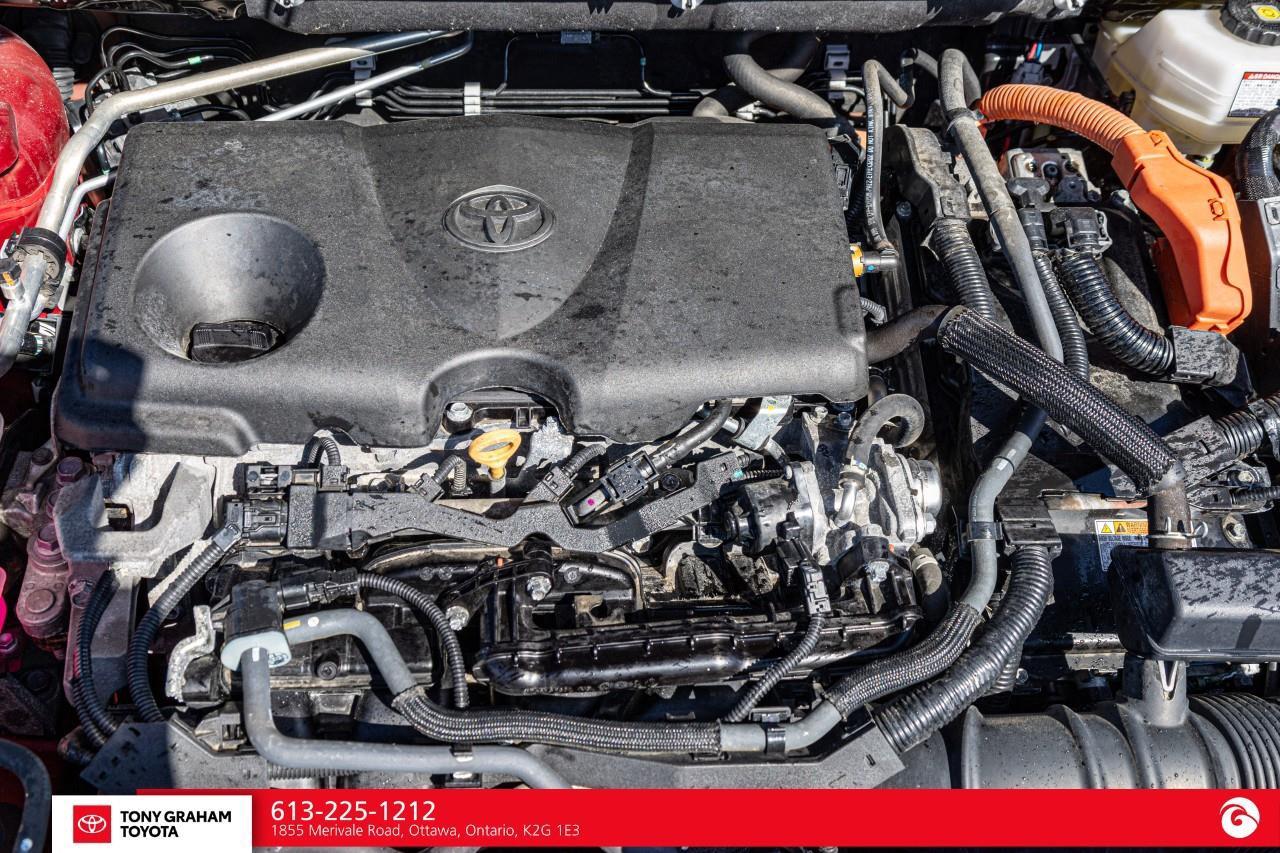 2024 Toyota RAV4 Hybrid XLE Photo