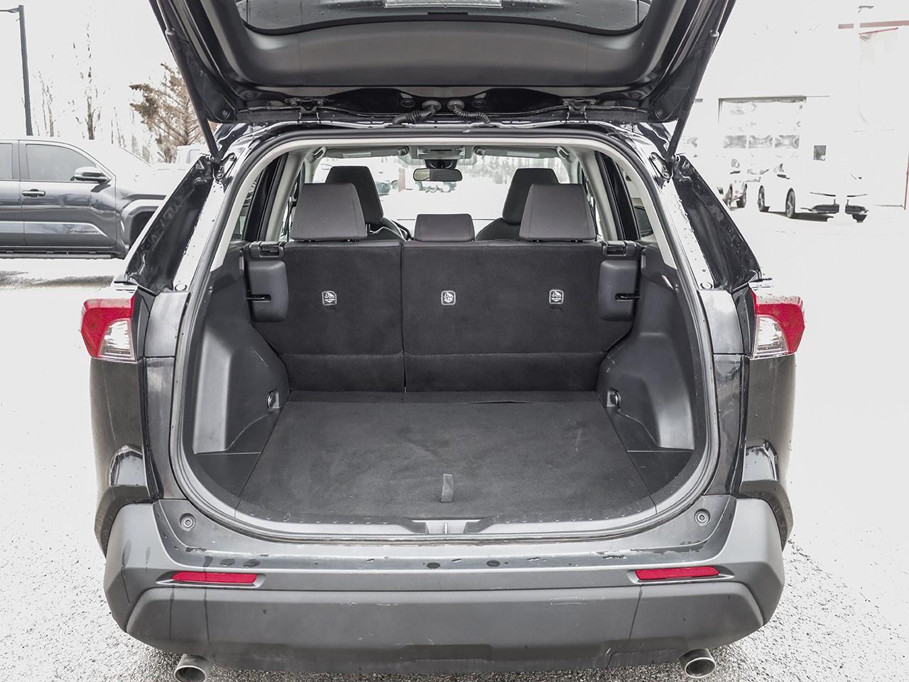 2024 Toyota RAV4 LE Photo