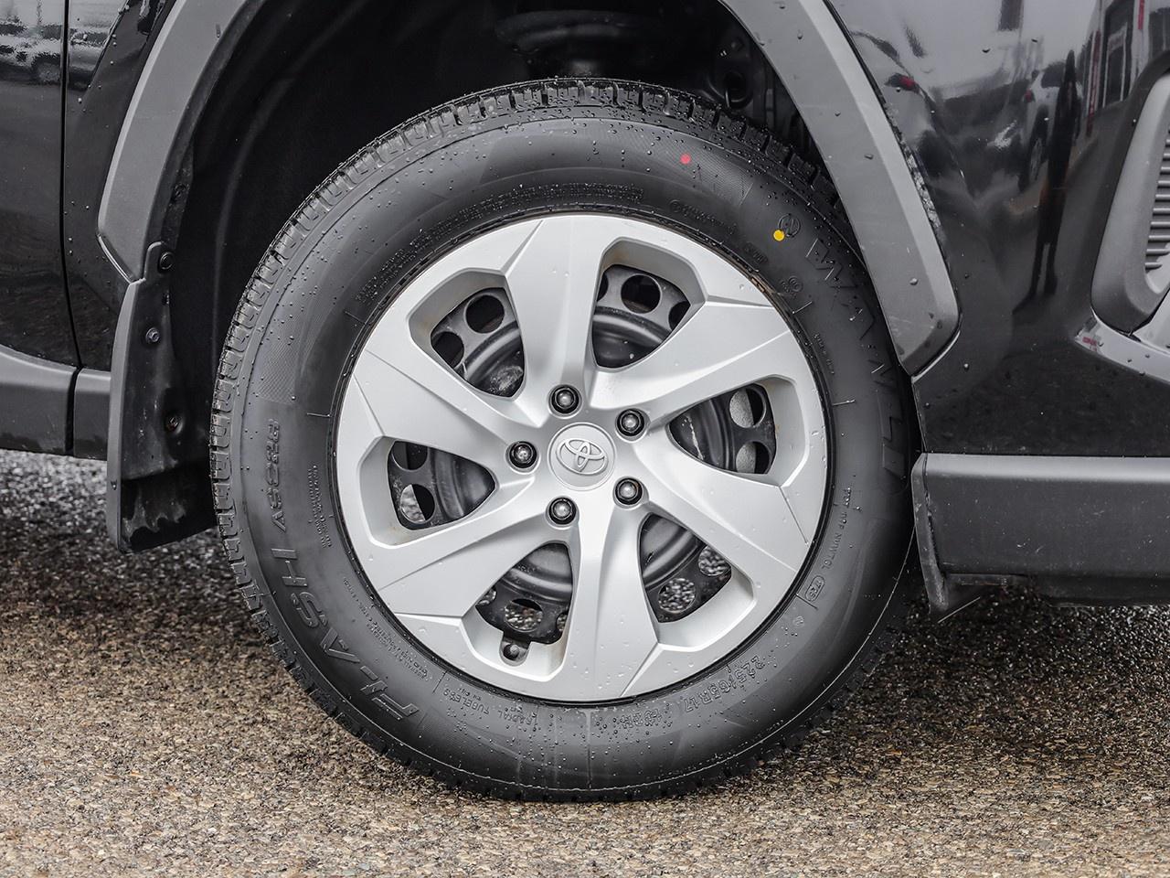 2024 Toyota RAV4 LE Photo