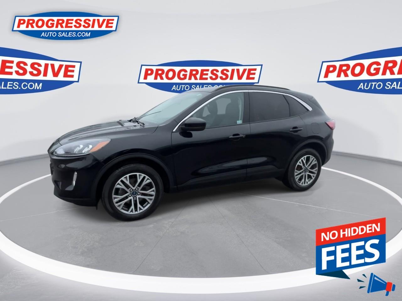 2021 Ford Escape SEL Photo