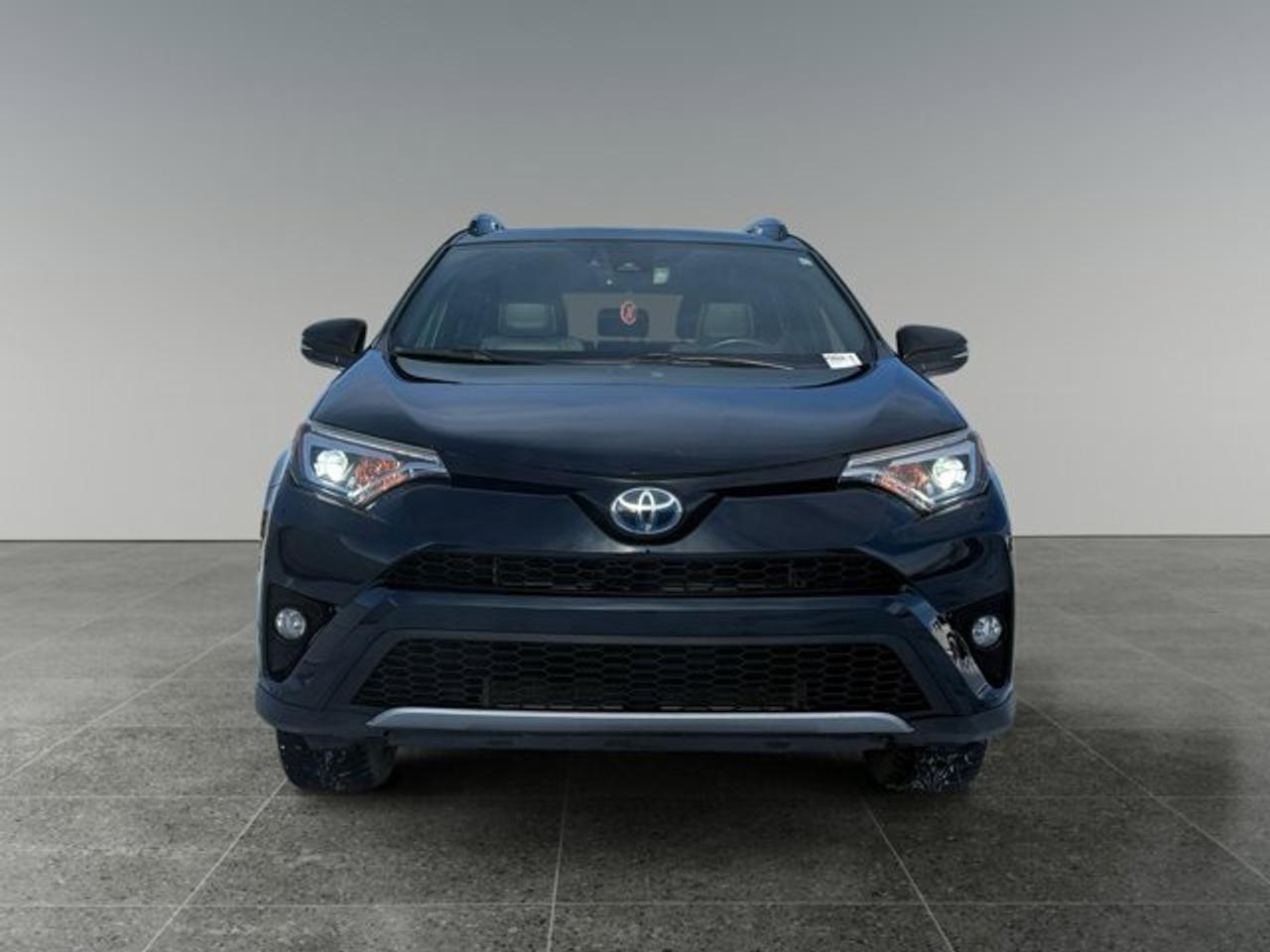 2018 Toyota RAV4 Hybrid SE - Photo #8