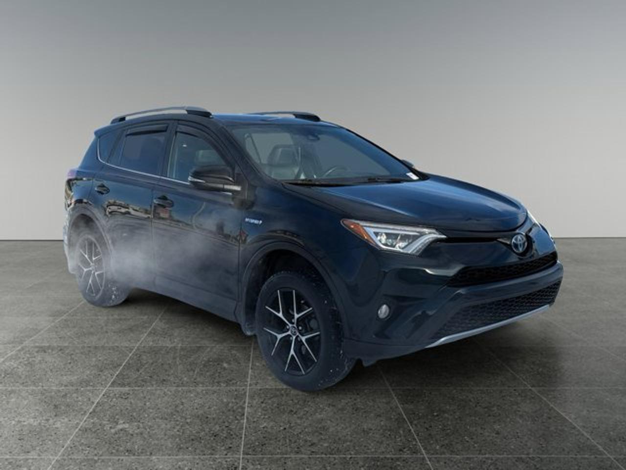2018 Toyota RAV4 Hybrid SE - Photo #7