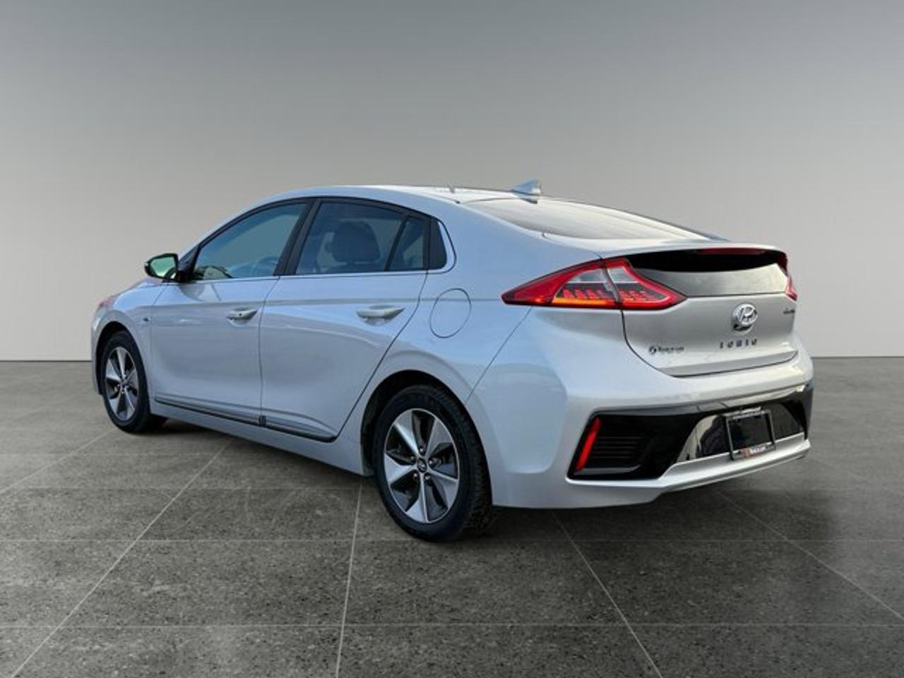 2019 Hyundai IONIQ Electric Preferred Photo
