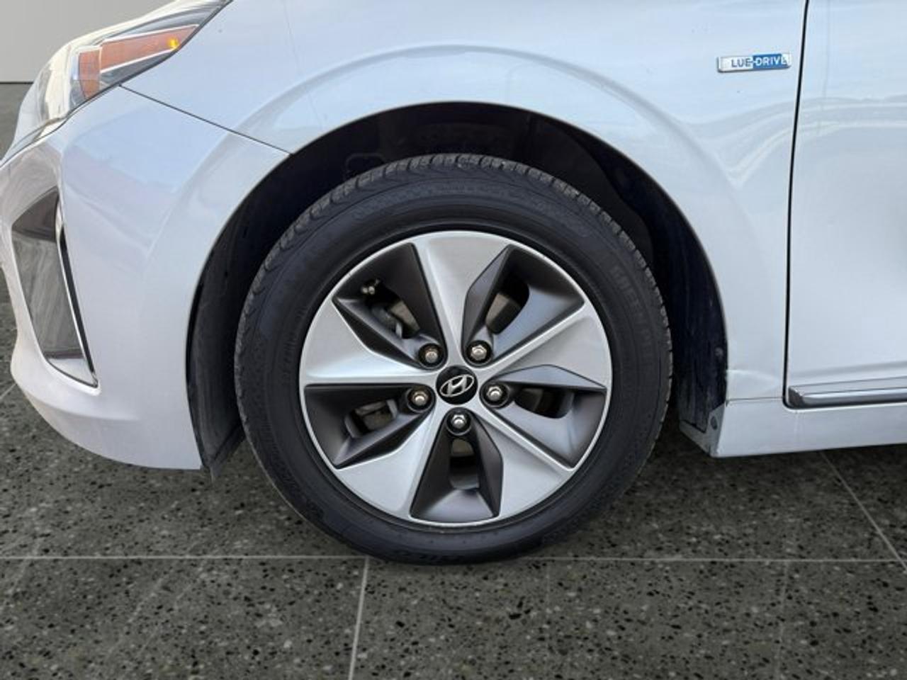 2019 Hyundai IONIQ Electric Preferred Photo