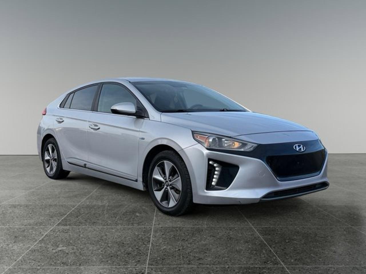 2019 Hyundai IONIQ Electric Preferred Photo