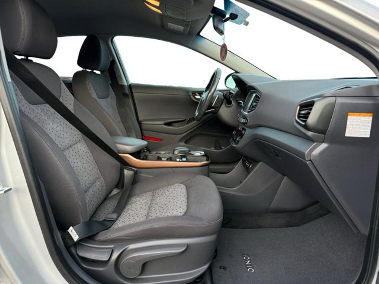 2019 Hyundai IONIQ Electric Preferred Photo