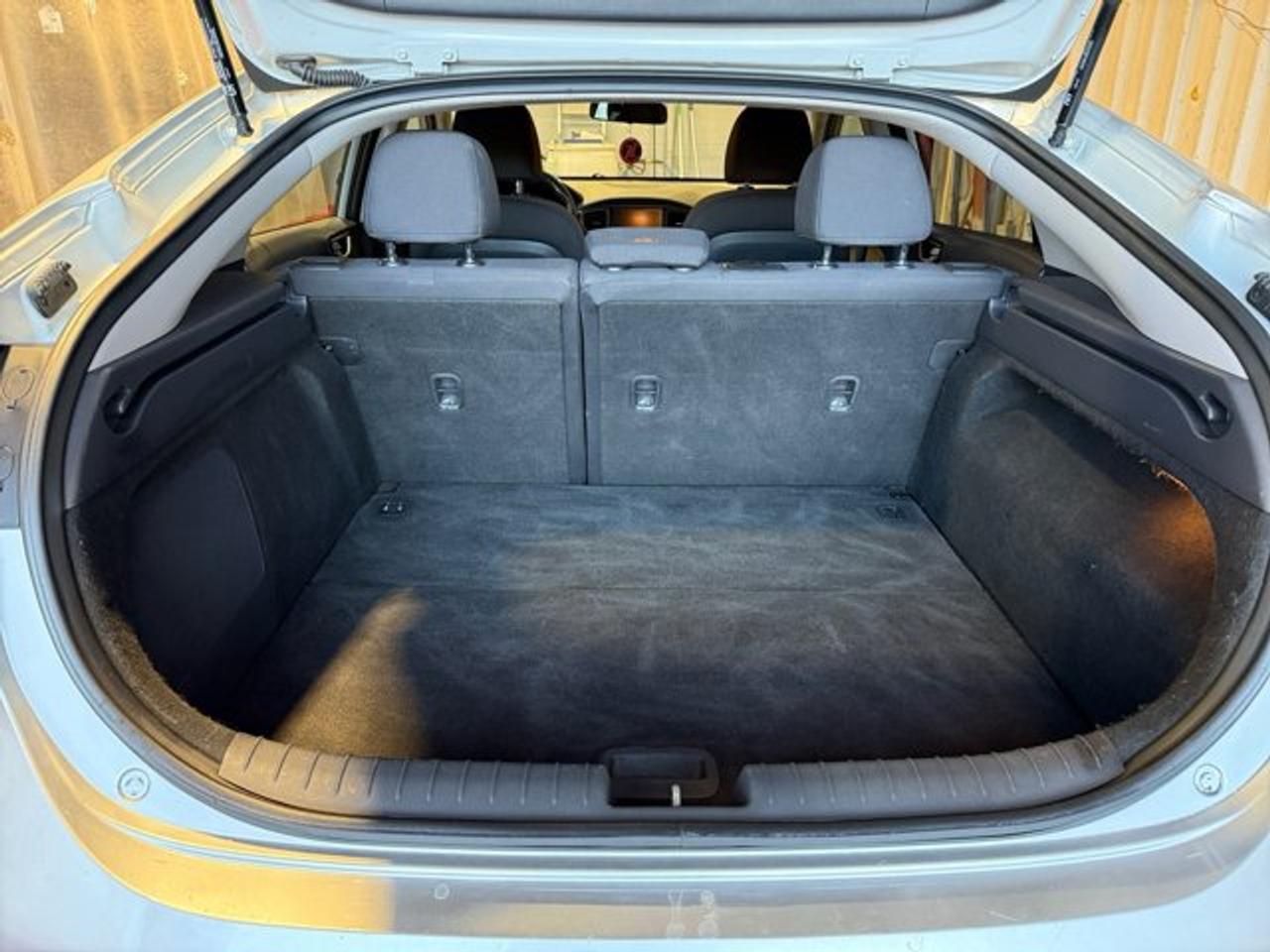 2019 Hyundai IONIQ Electric Preferred Photo