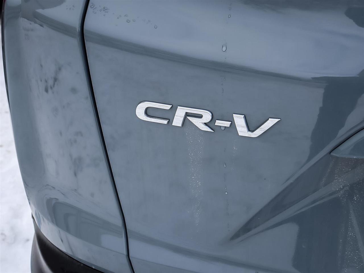 2022 Honda CR-V  Photo