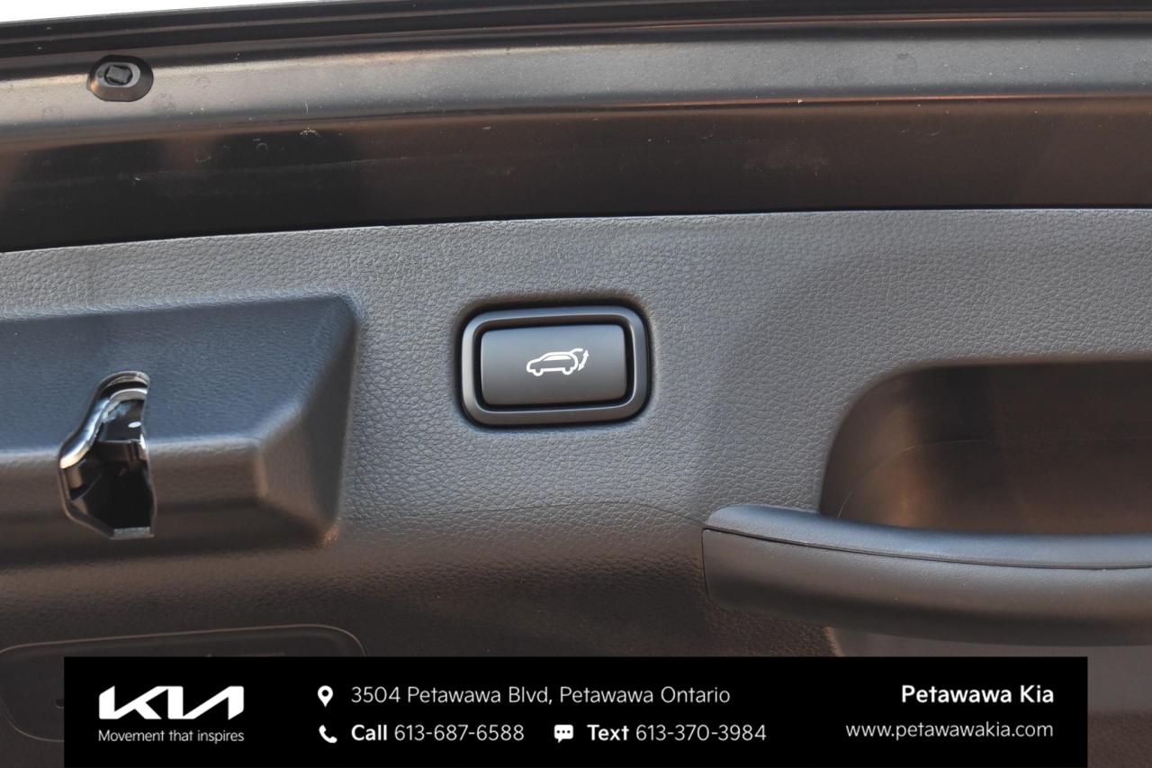 2026 Kia Seltos X-Line 4dr All-Wheel Drive Photo