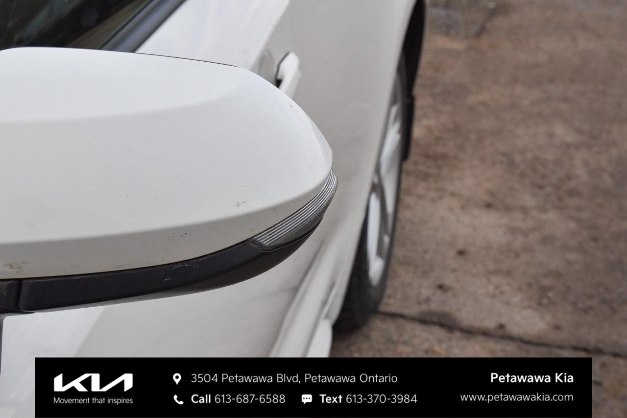 2019 Toyota Corolla Hatchback  Photo