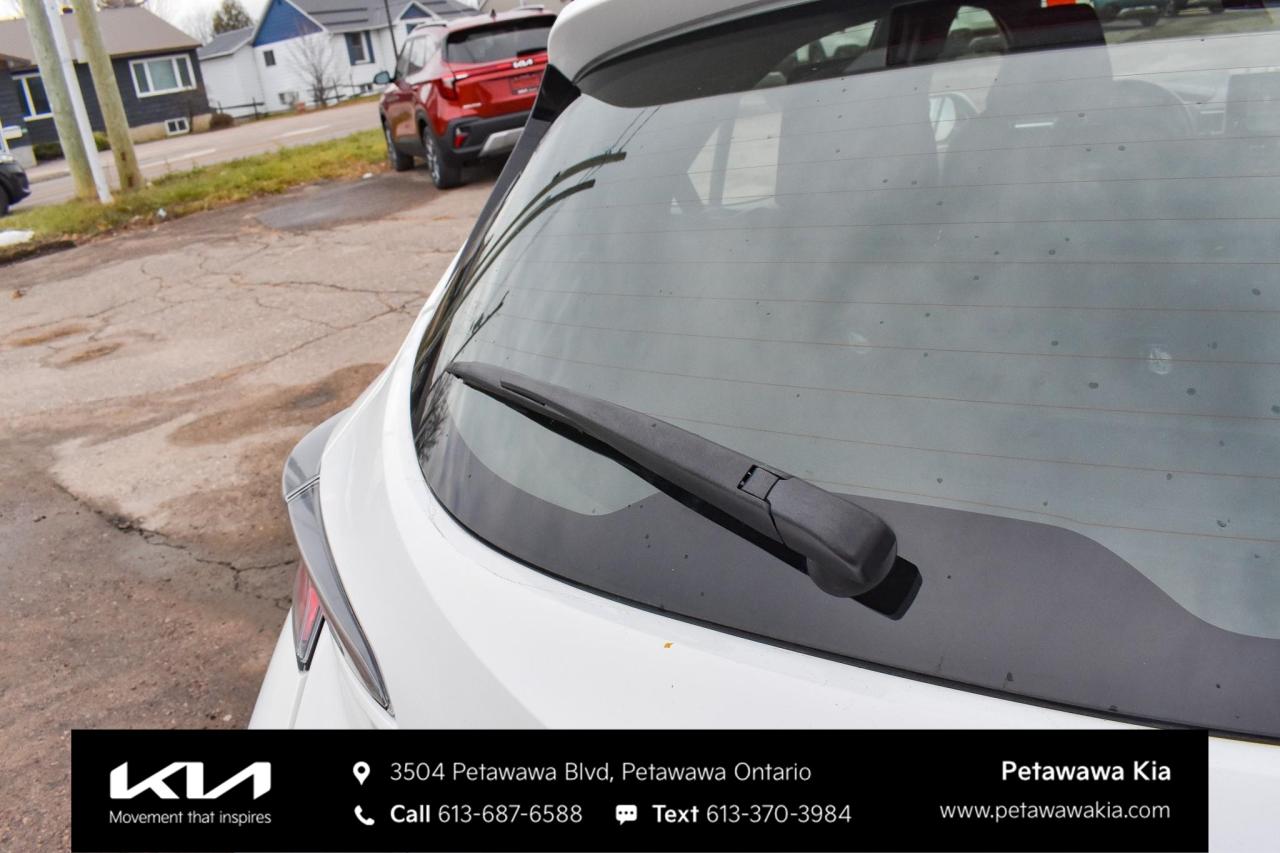 2019 Toyota Corolla Hatchback  Photo