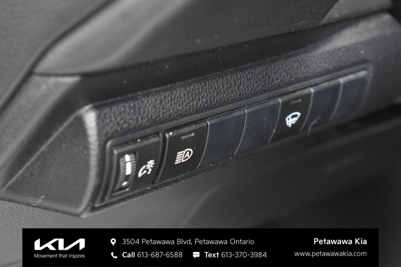 2019 Toyota Corolla Hatchback  Photo