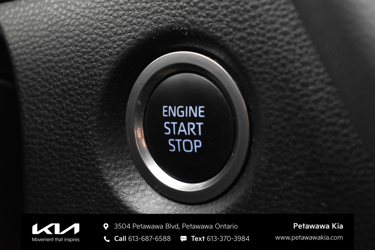 2019 Toyota Corolla Hatchback  Photo