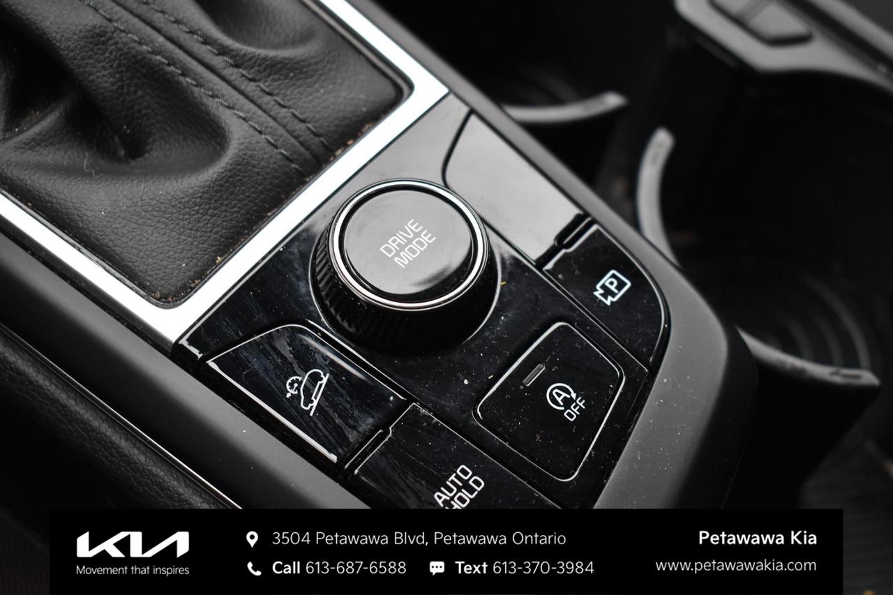 2024 Kia Sportage LX 4dr Front-wheel Drive Photo