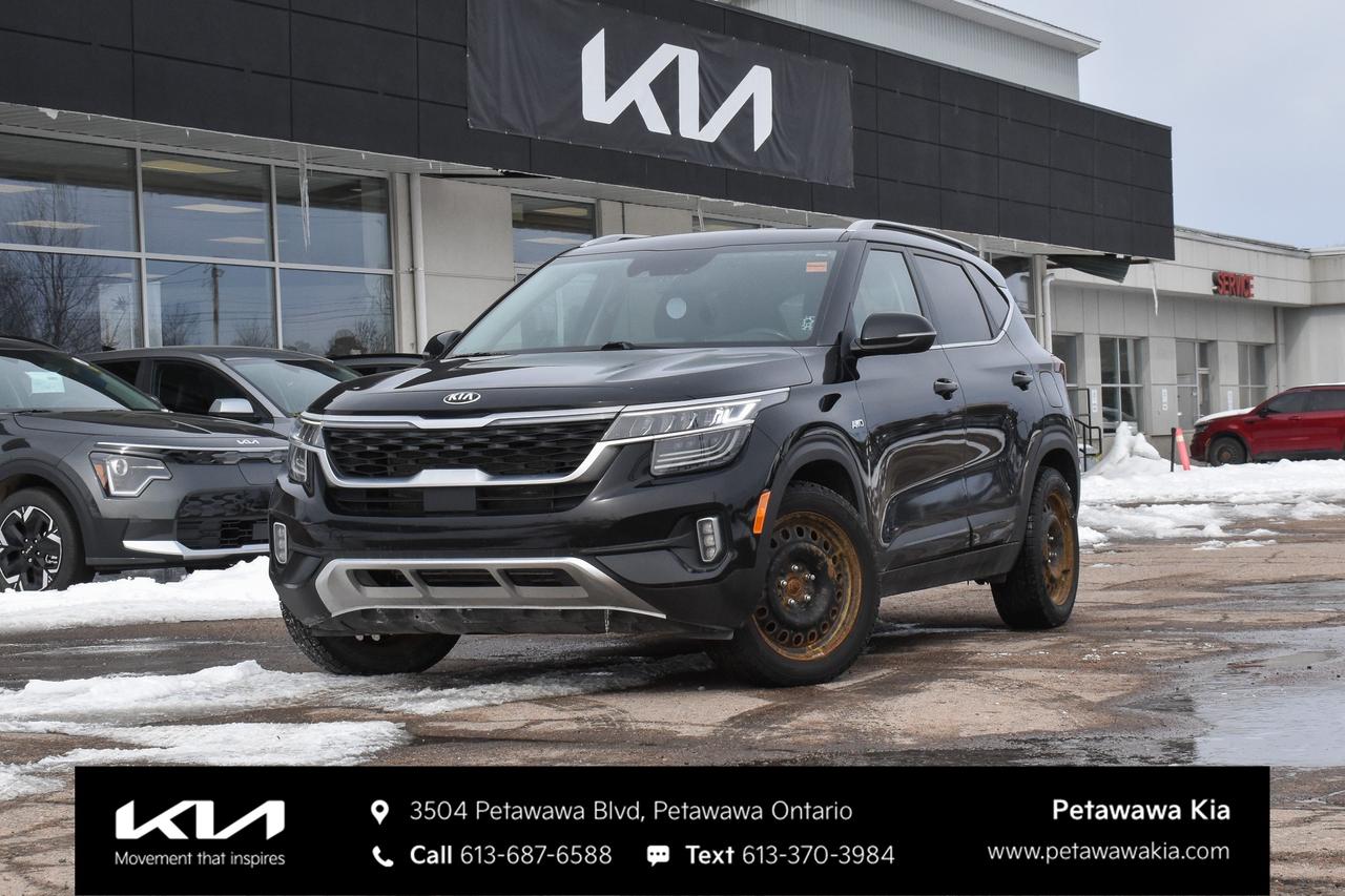2021 Kia Seltos EX Premium 4dr All-Wheel Drive Photo