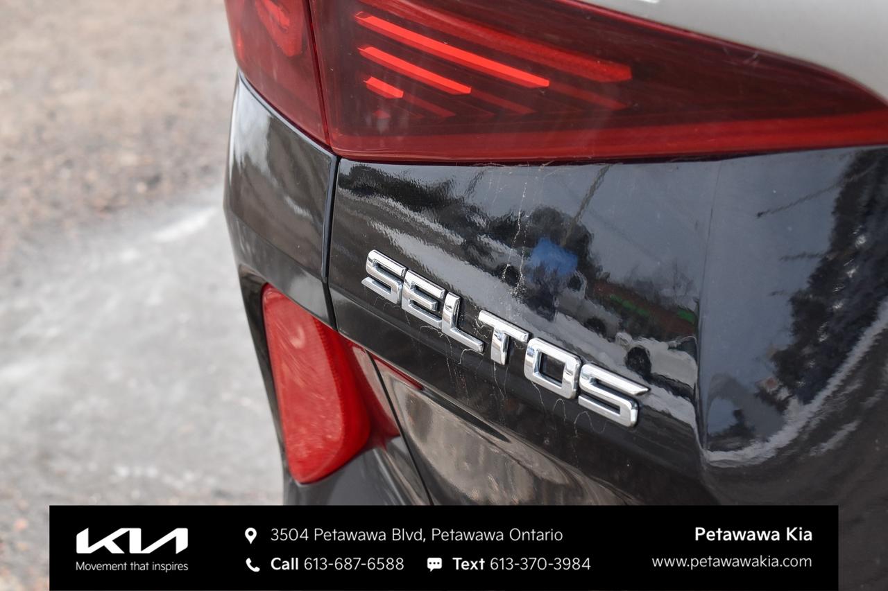 2021 Kia Seltos EX Premium 4dr All-Wheel Drive Photo
