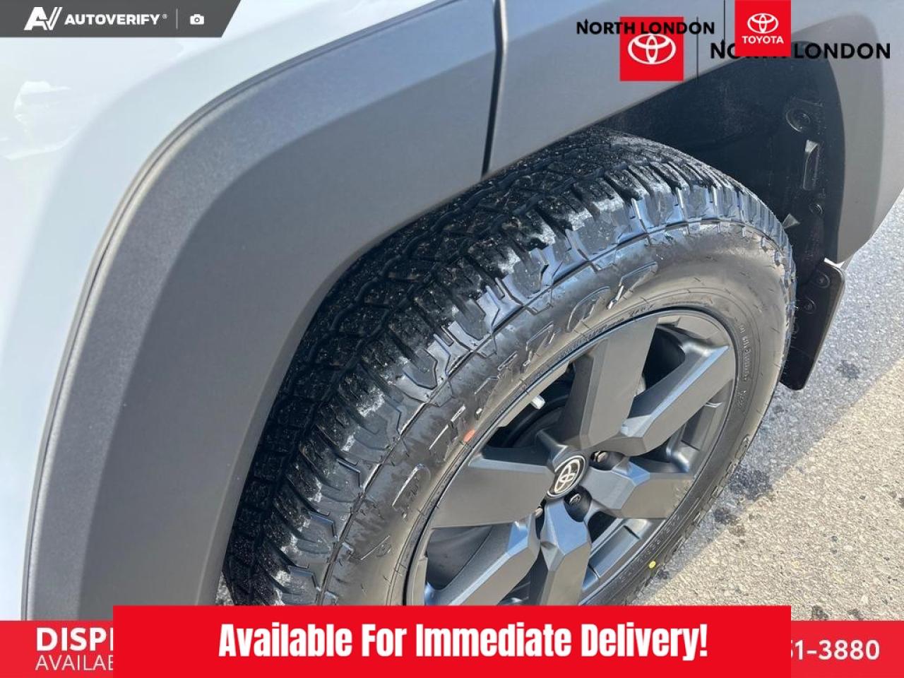 2026 Toyota RAV4 Woodland 4dr All-Wheel Drive Photo