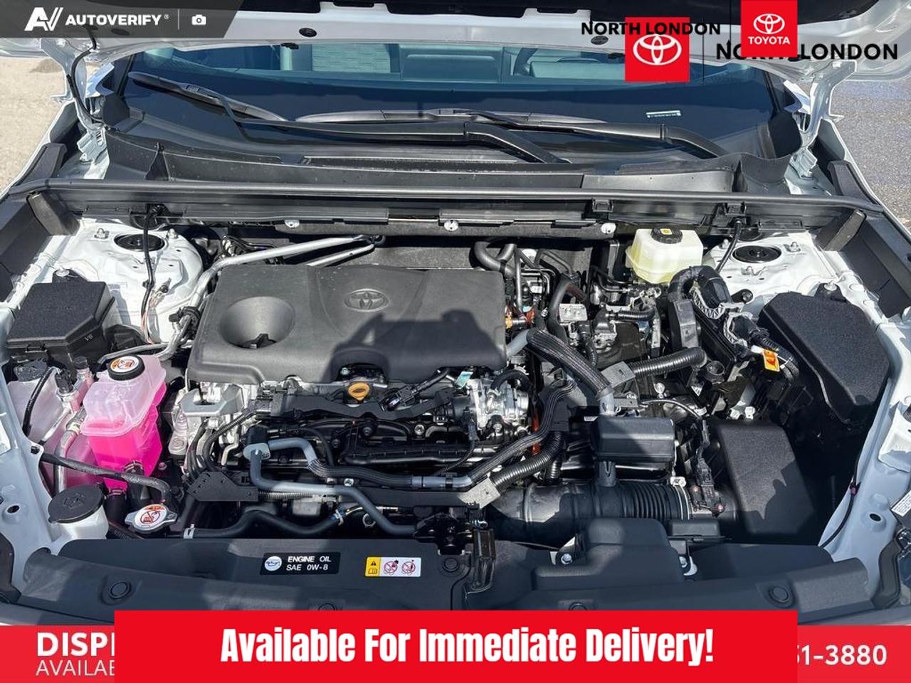 2026 Toyota RAV4 Woodland 4dr All-Wheel Drive Photo