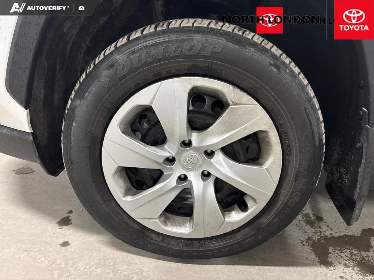 2024 Toyota RAV4 LE 4dr All-wheel Drive Photo