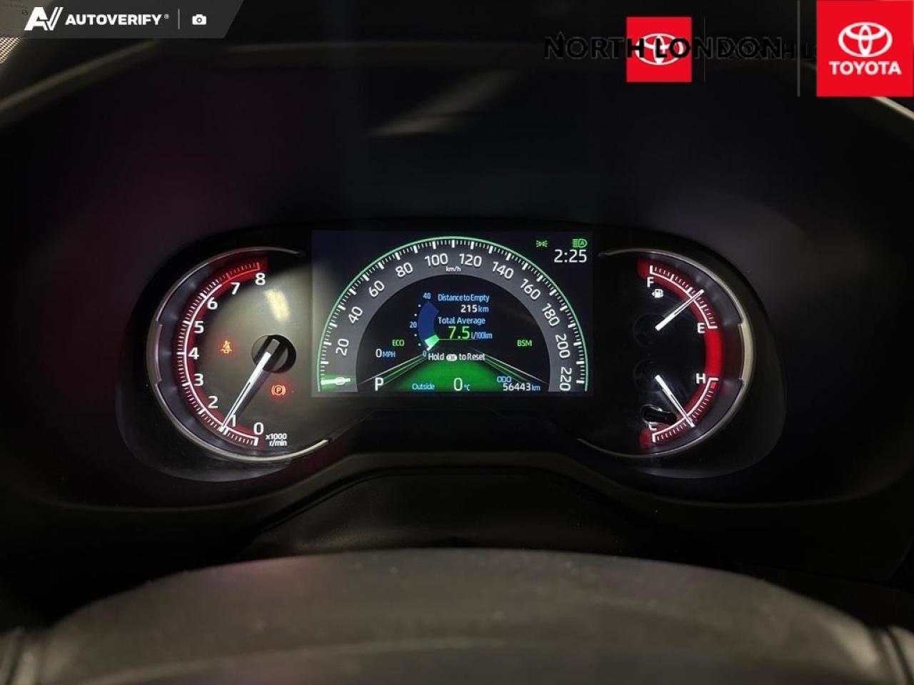 2024 Toyota RAV4 LE 4dr All-wheel Drive Photo