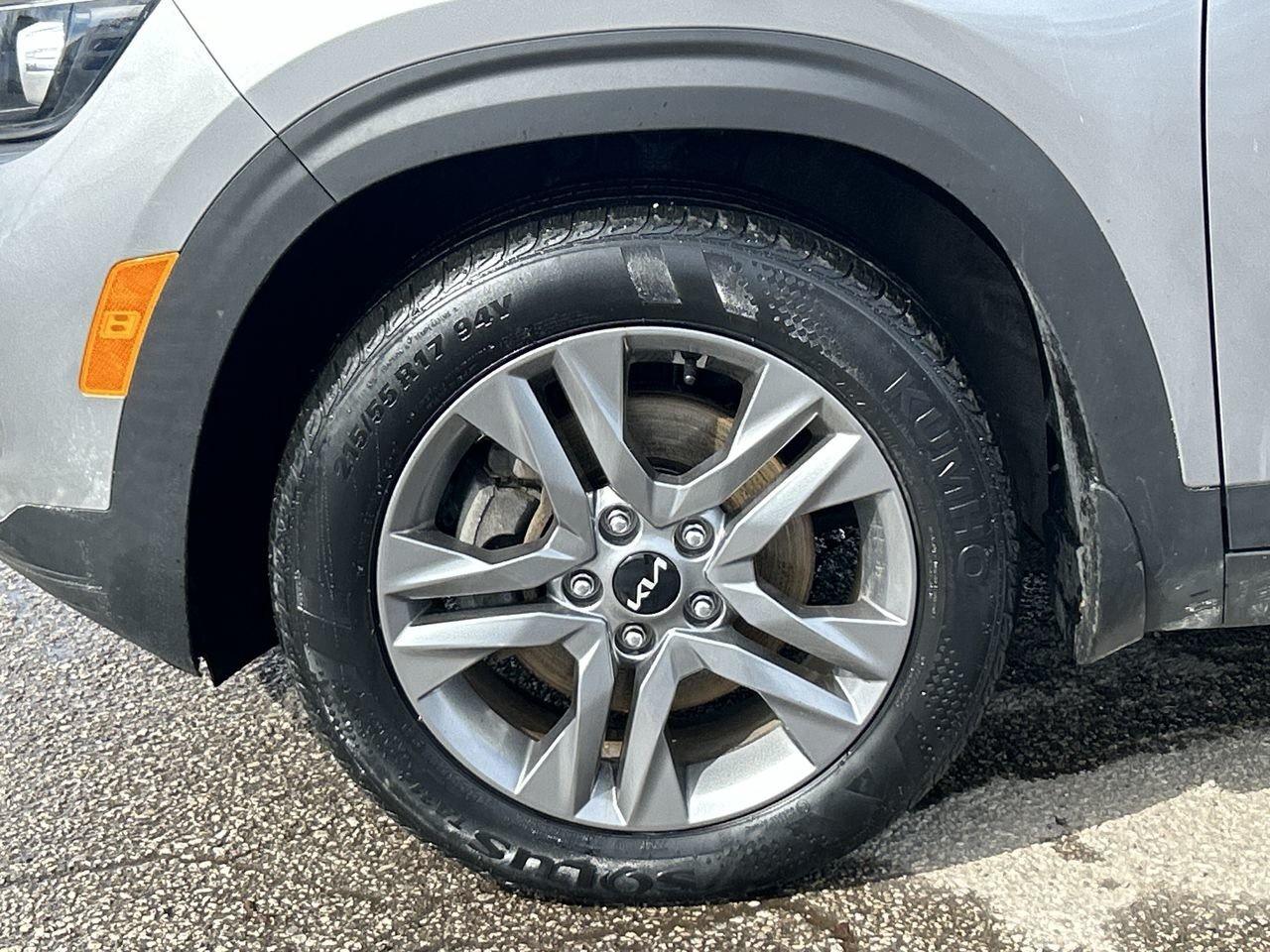 2022 Kia Seltos EX AWD   Reliable, Stylish & Feature-Packed! ONE O Photo