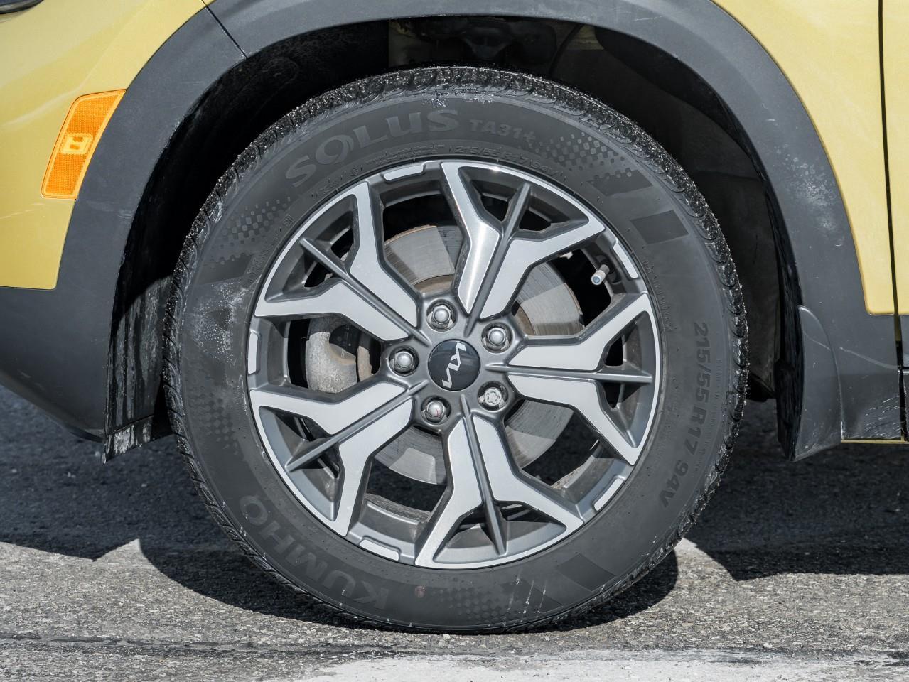 2023 Kia Seltos EX 4dr All-Wheel Drive Photo