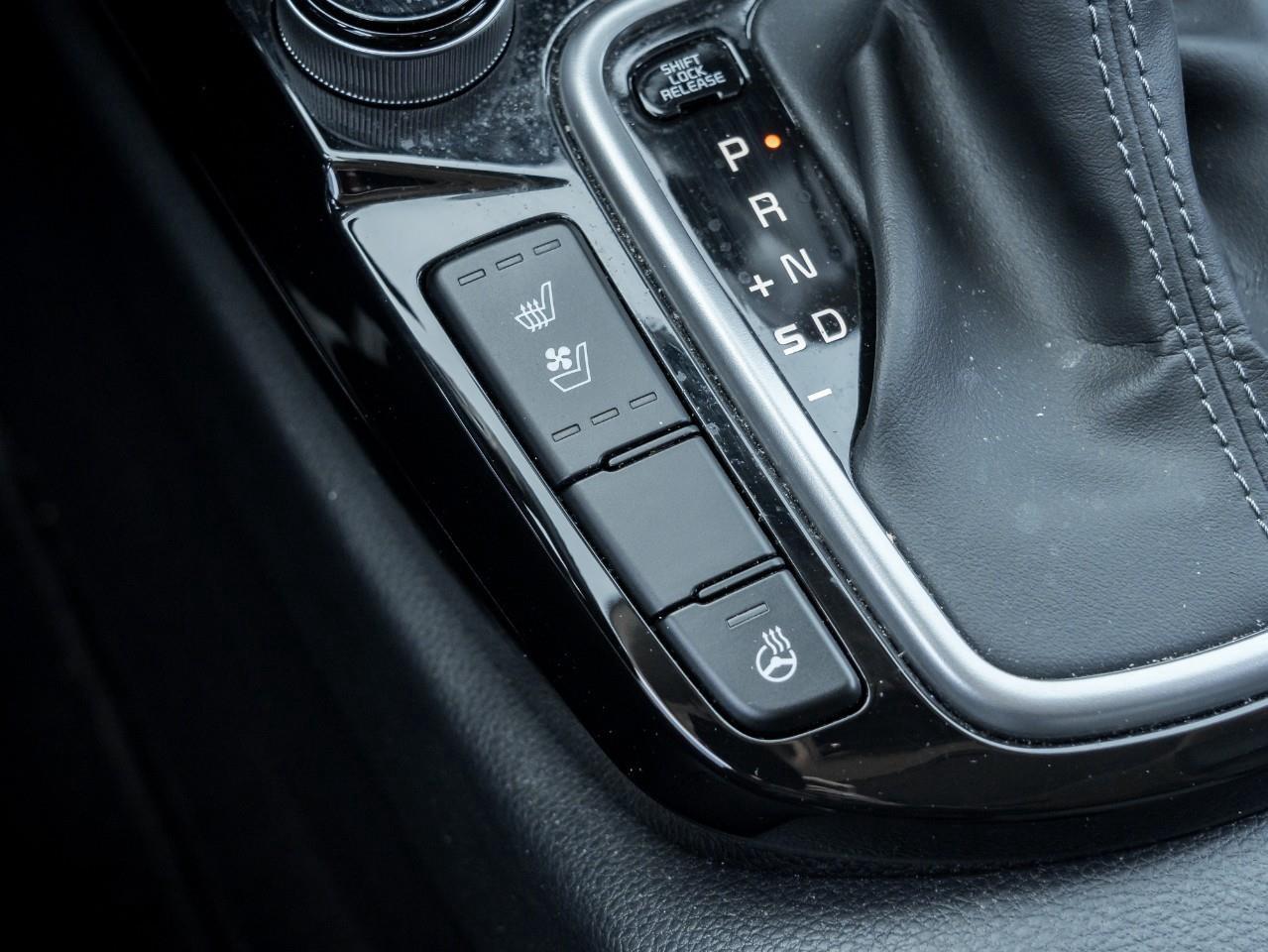 2023 Kia Seltos EX 4dr All-Wheel Drive Photo