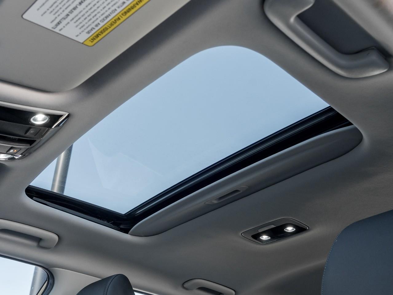 2023 Kia Seltos EX 4dr All-Wheel Drive Photo