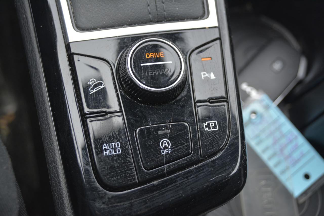 2023 Kia Sportage  Photo