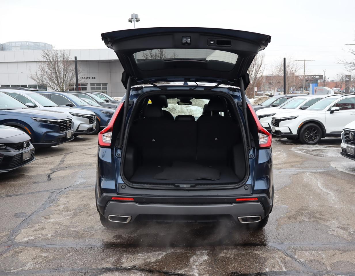 2024 Honda CR-V Hybrid EX-L 4dr All-Wheel Drive Photo