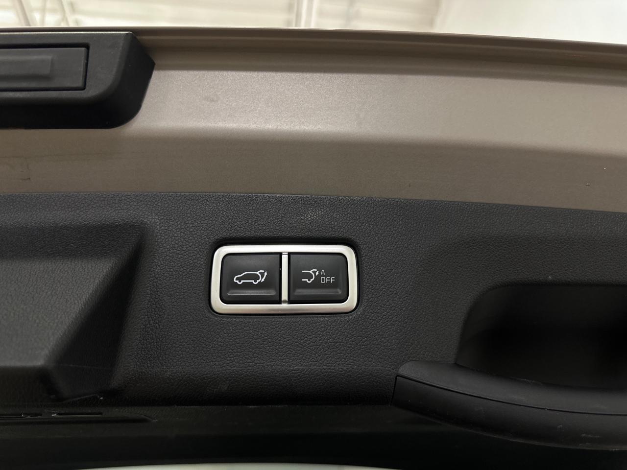 2025 Kia Sorento 2.5T X-Line Limited w/Olive Brown Interior 4dr All-Wheel Drive Photo