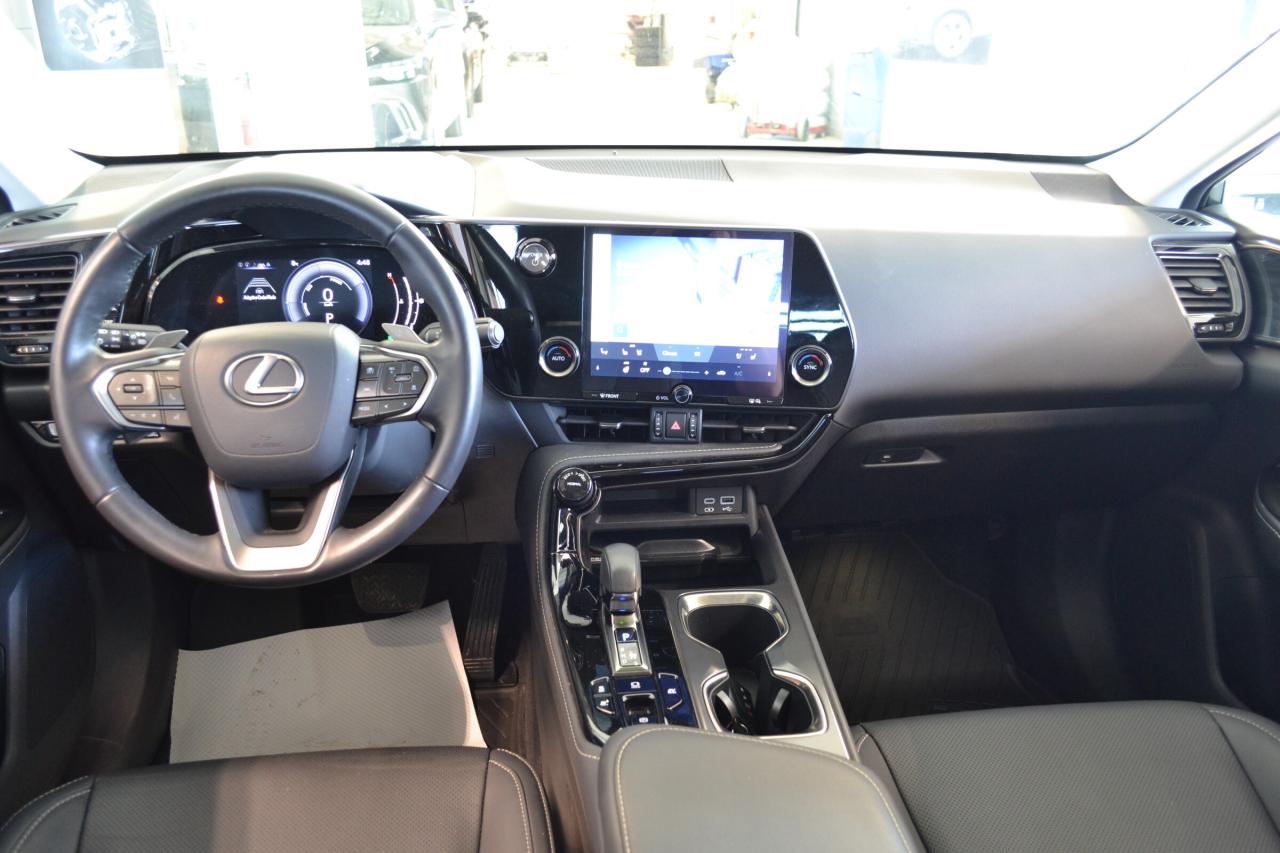 2024 Lexus NX 350h  Photo