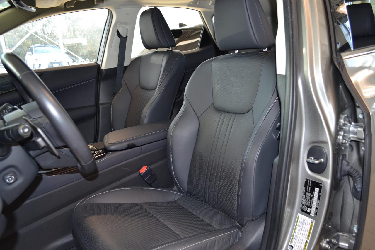 2024 Lexus NX 350h  Photo