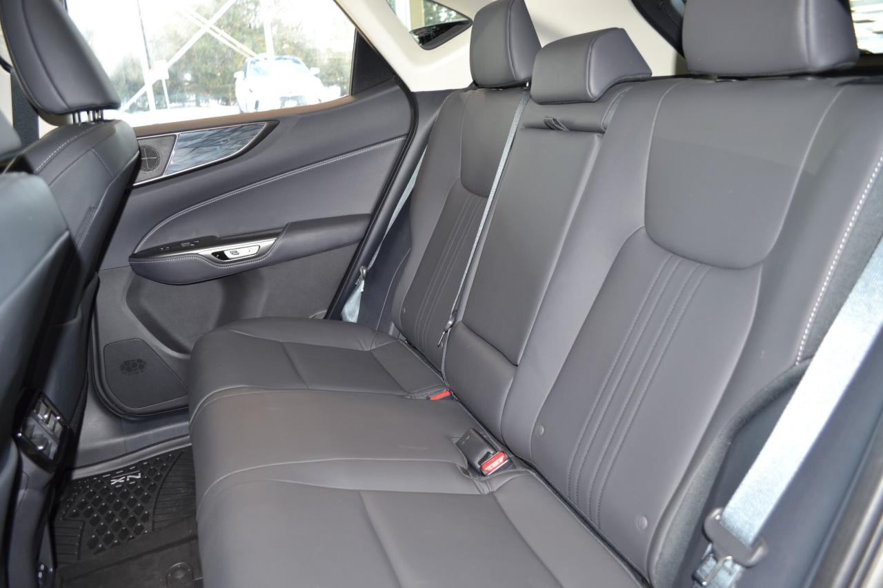 2024 Lexus NX 350h  Photo