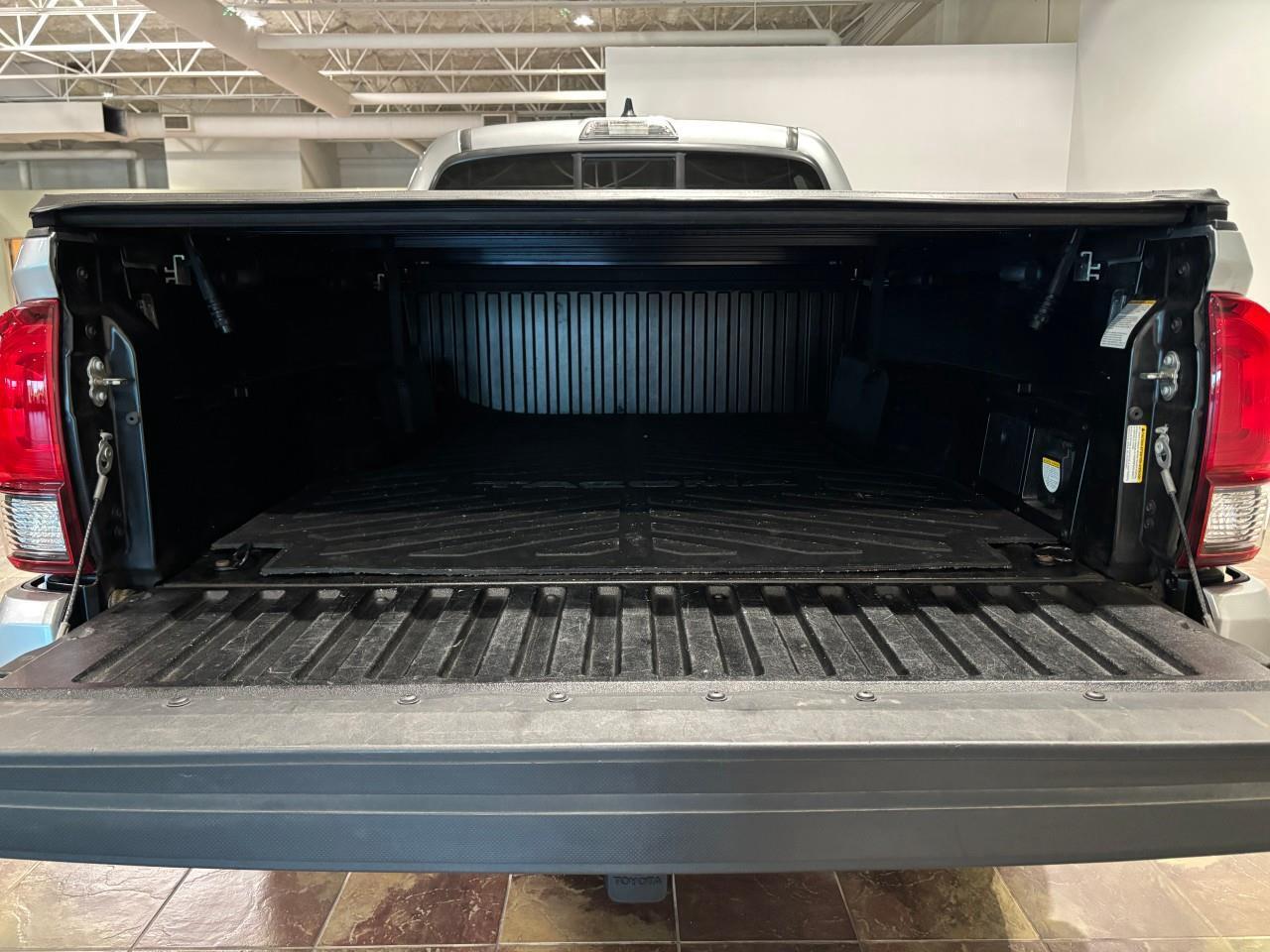 2023 Toyota Tacoma  Photo