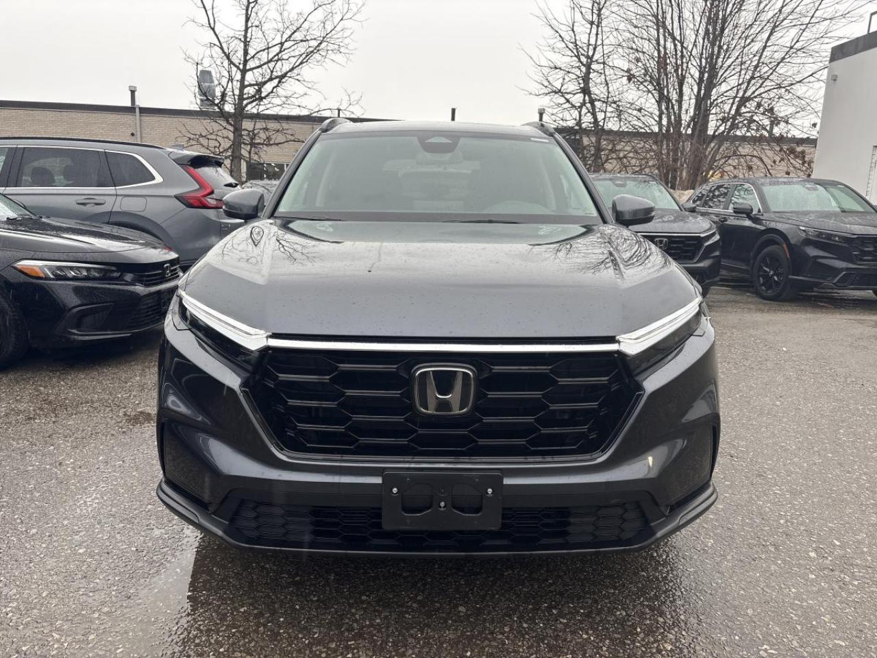 2024 Honda CR-V Sport Honda Certified With 7YRS/160K Warranty Photo