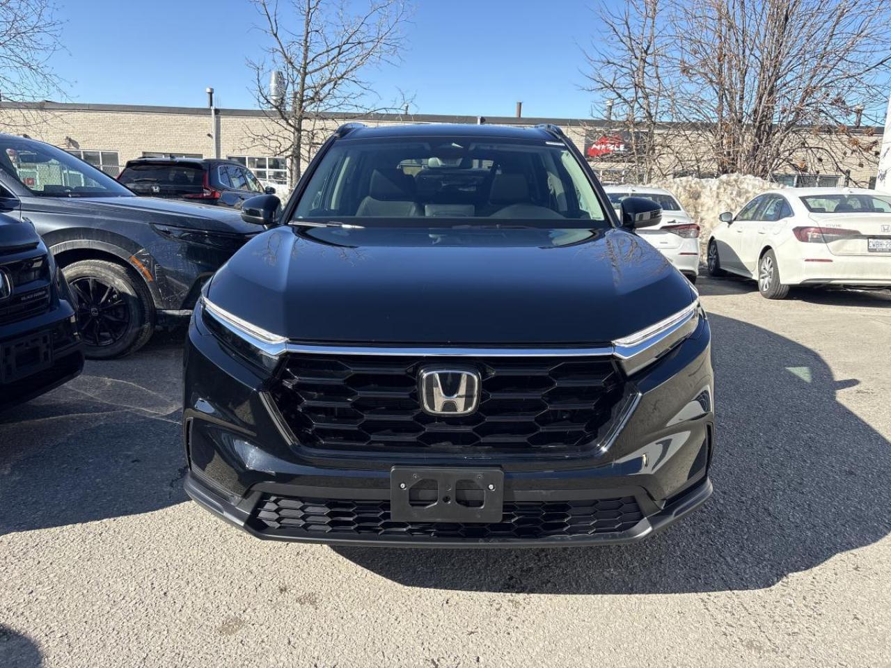 2025 Honda CR-V Sport Honda Certified With 7YRS/160K Warranty Photo