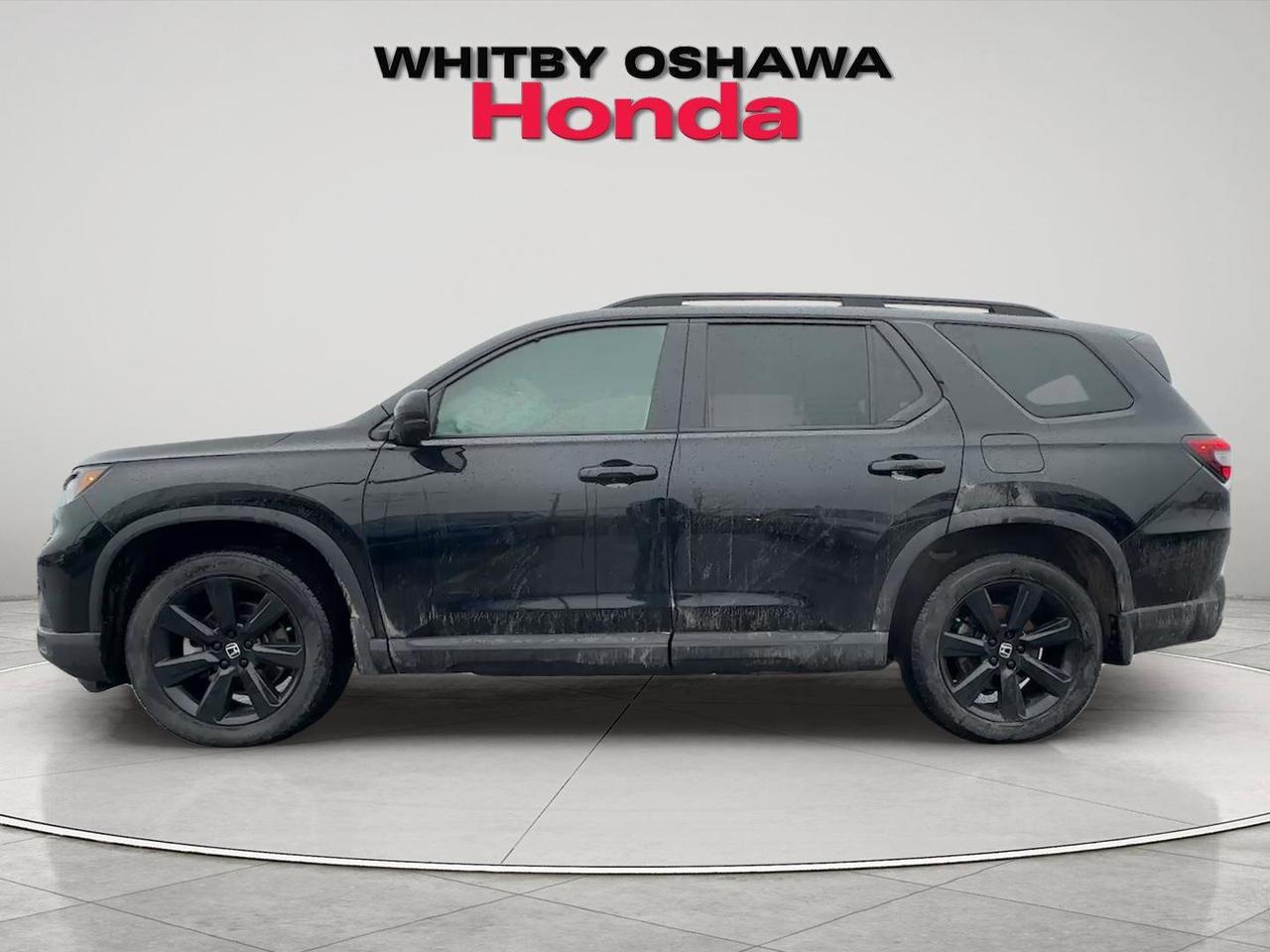 2025 Honda Pilot Black Edition Photo