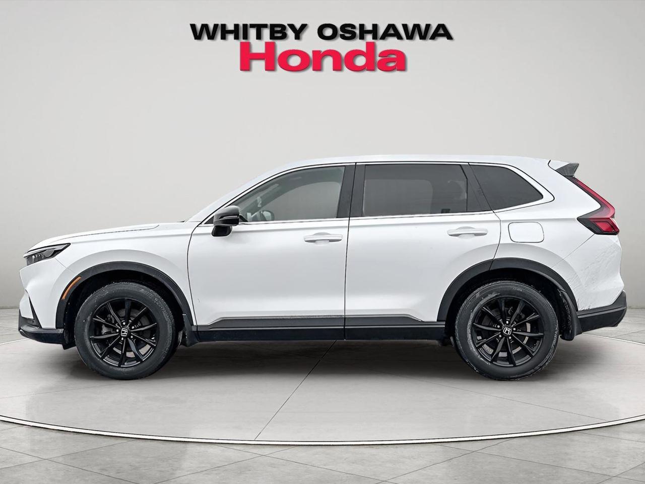 2024 Honda CR-V Hybrid EX-L Photo