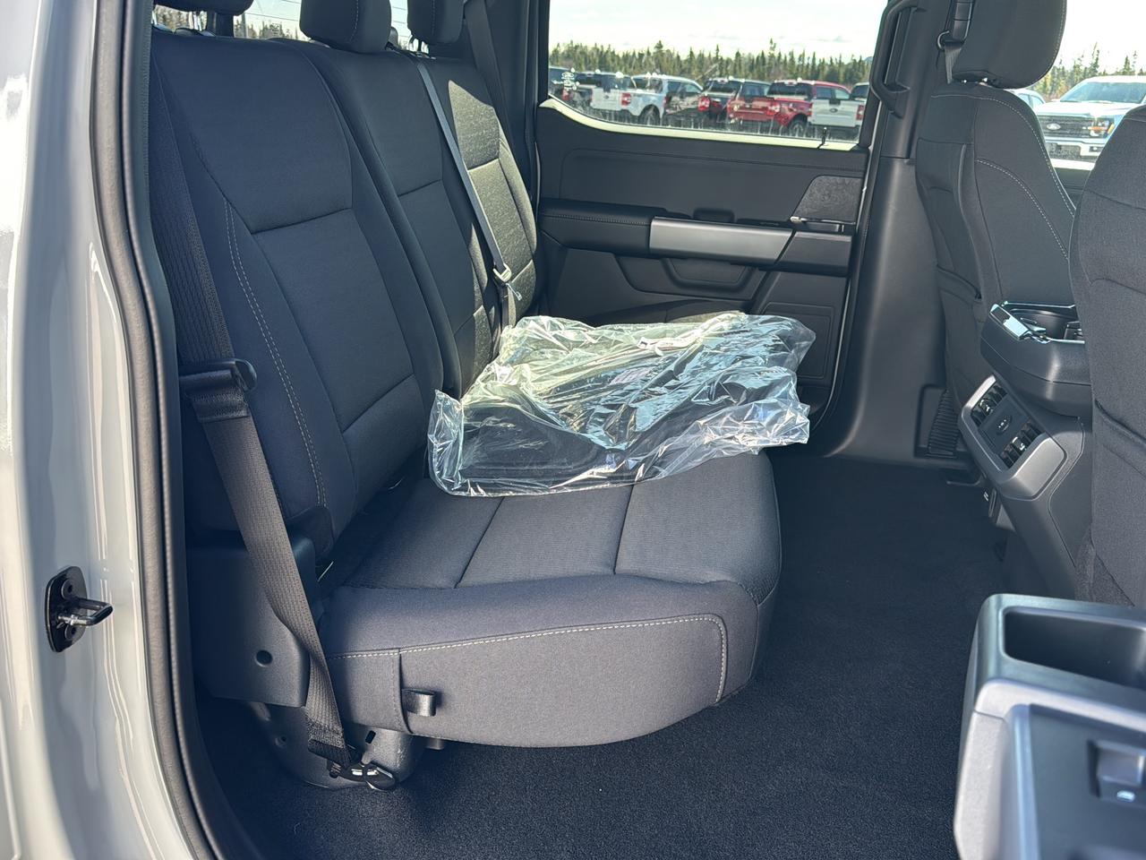 2026 Ford F-150 XLT Photo