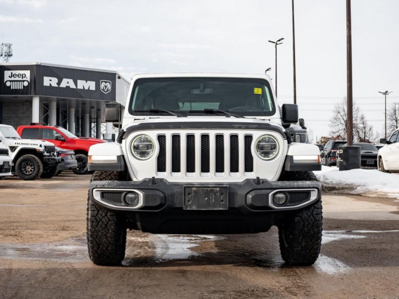 2019 Jeep Wrangler Unlimited Sahara Photo