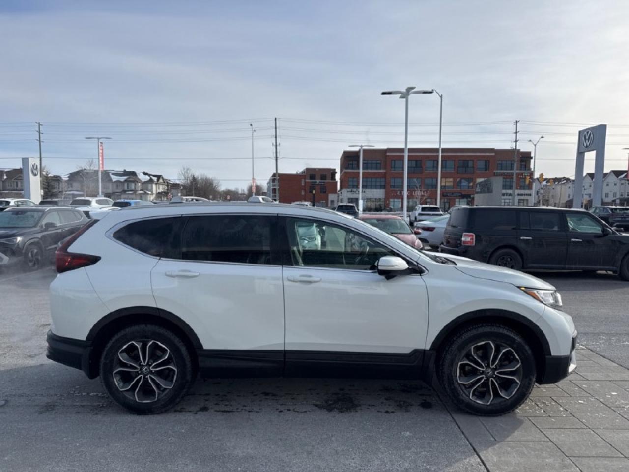 2021 Honda CR-V EX-L  - Sunroof -  Leather Seats Photo